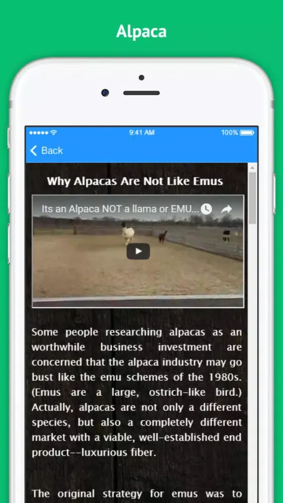 Alpaca - Successful Alpaca Farming Screenshots