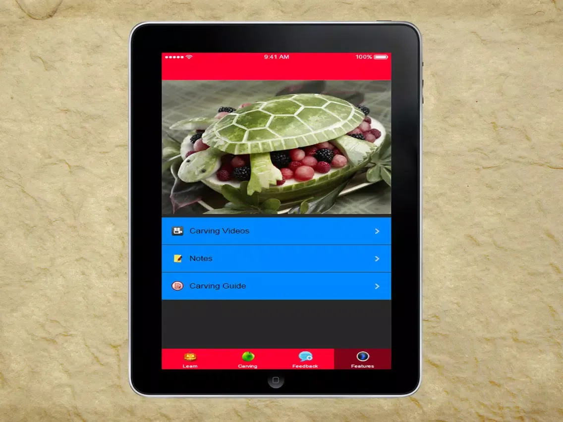 100 + Carving Ideas - Tips for Carving Flowers from Vegetables iPad  스크린샷