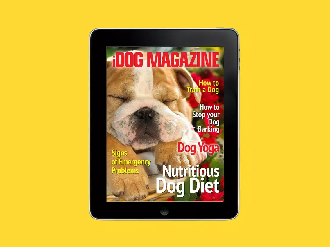 Captures d'écran de iDog Magazine - The Best new Dog, Puppy Training, advice and tips Magazine for Dog Owners iPad 