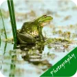 Photography For Beginners - Tips & Tricks Photography For Beginners - Tips & Tricks