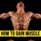 How to Gain Muscle From Basics - Learn the Tricks