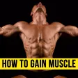 How to Gain Muscle From Basics - Learn the Tricks How to Gain Muscle From Basics - Learn the Tricks