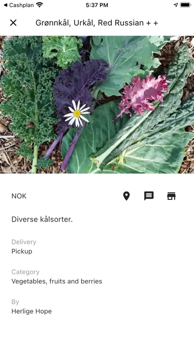تصاویر Eple - local food