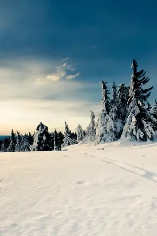 Скриншоты Snow Wallpapers & Backgrounds