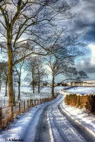 Скриншоты Snow Wallpapers & Backgrounds