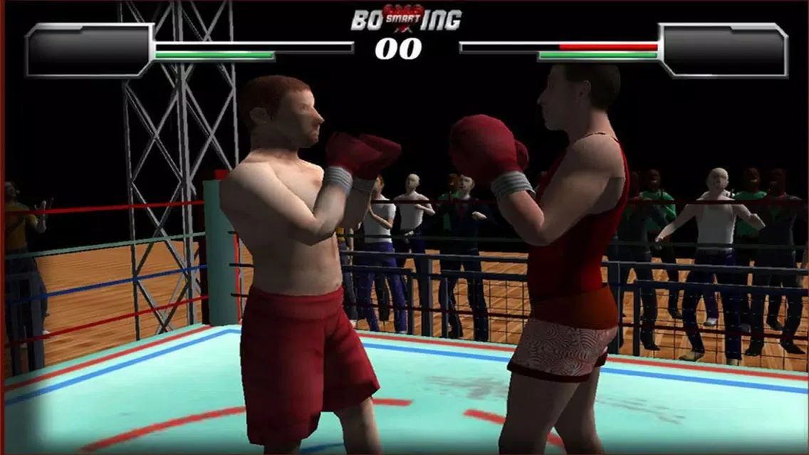 Smart Boxing 3D - Free Screenshots