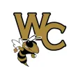 Wayne County GA Schools