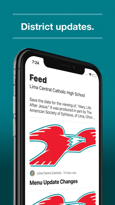 Скриншоты Lima Central Catholic OH