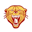 Webster Area Schools