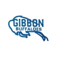 Gibbon Public School Gibbon Public School