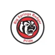 Big Springs Union Elementary