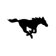 Ridgeview Mustangs Ridgeview Mustangs