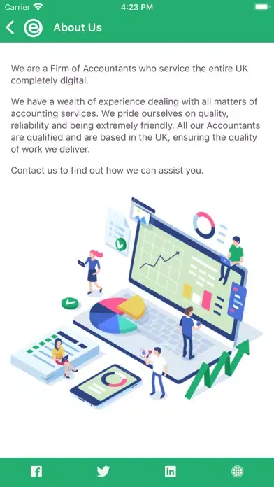 Tangkapan skrin eAccounts Ltd