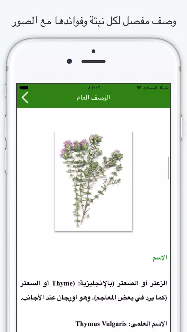 صور الاعشاب الطبية و الصحة - وصفات الطب البديل الصحية
