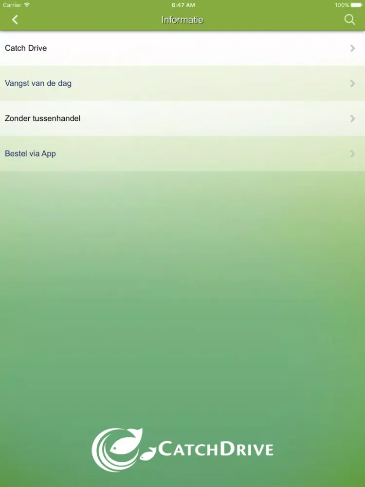 Tangkapan skrin Catch Drive iPad 