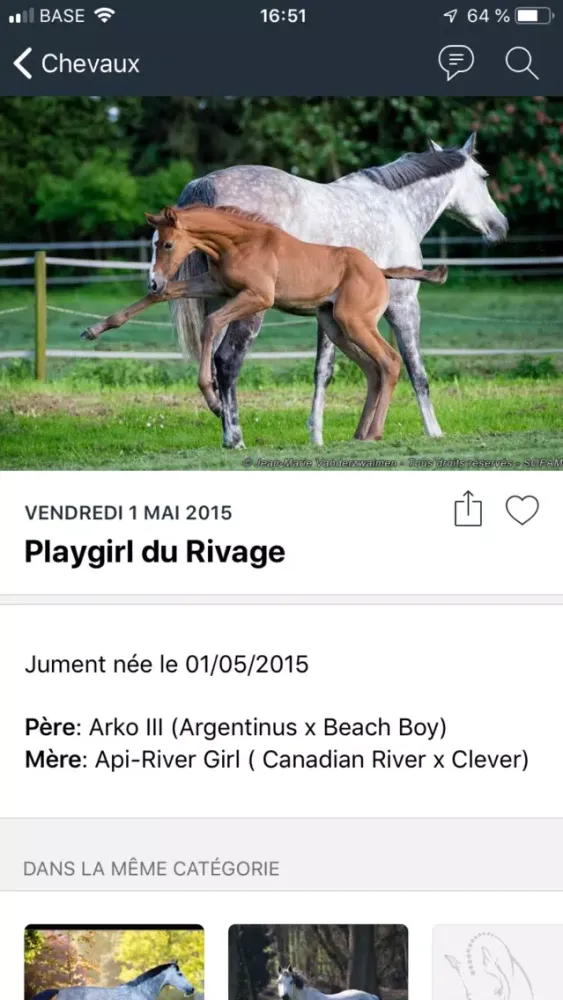 Capturas de pantalla de Haras du Rivage