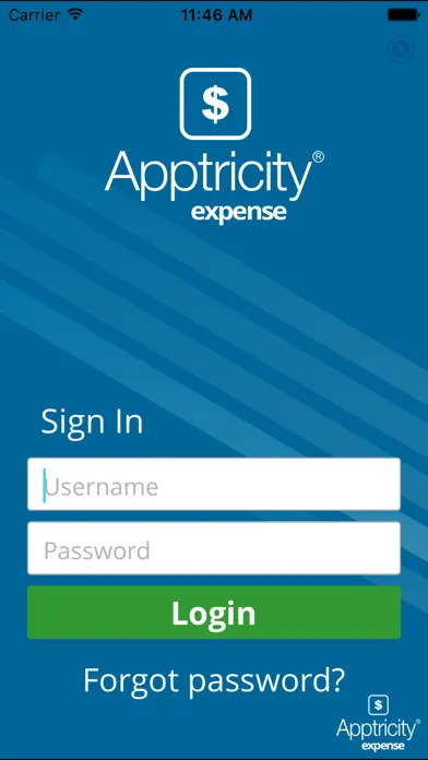 Captures d'écran de Apptricity Expense