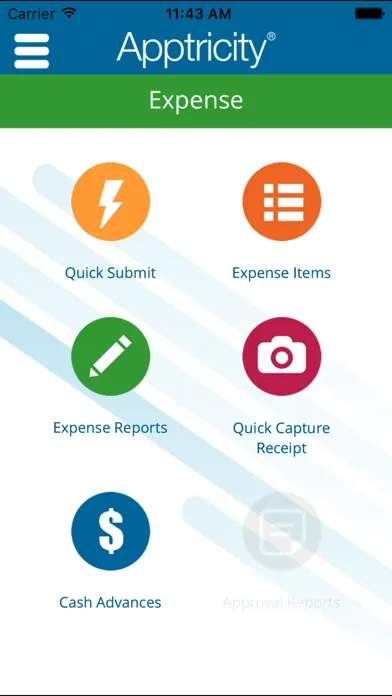 Captures d'écran de Apptricity Expense