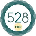 528 Player Pro