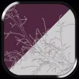 Other Place - APPUM™