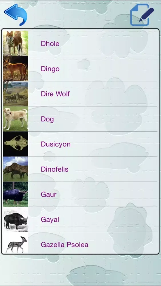 Capturas de tela do Animal Dictionary - Discover The World Of Wild Animals