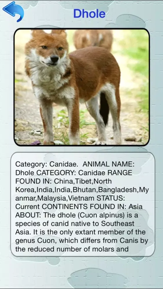 Capturas de tela do Animal Dictionary - Discover The World Of Wild Animals
