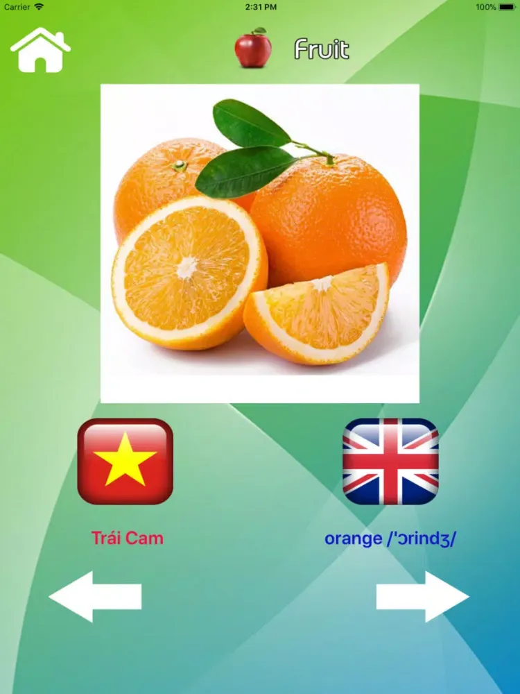 English Vietnamese Vocabulary iPad  스크린샷