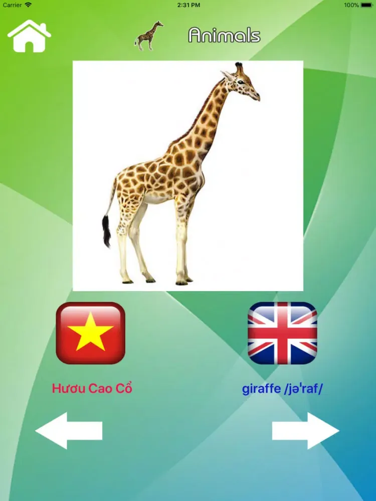 English Vietnamese Vocabulary iPad  스크린샷