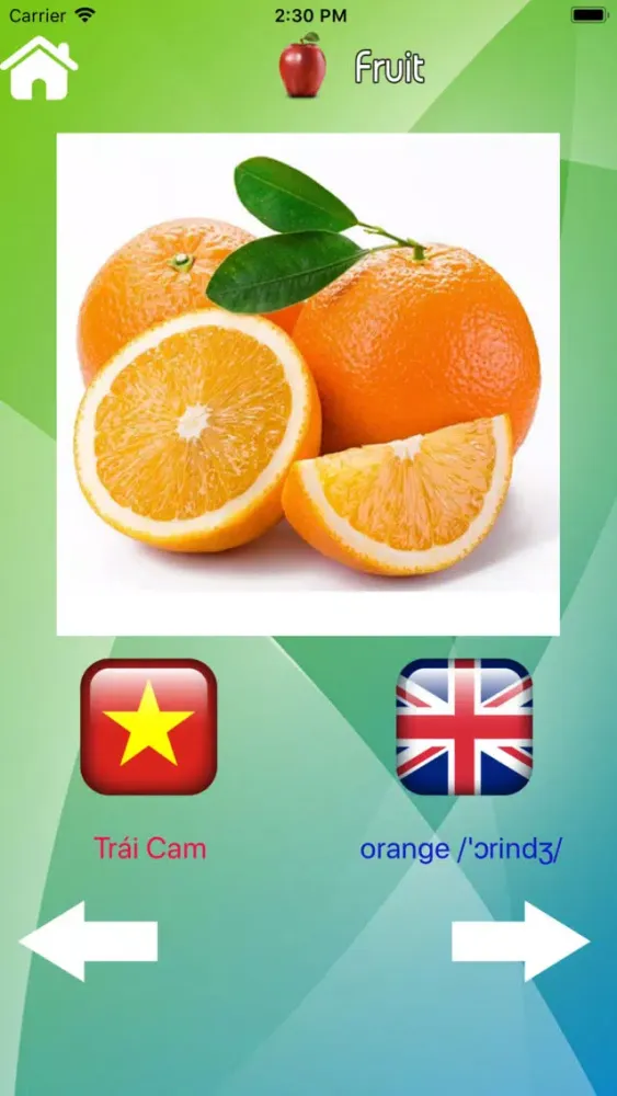 English Vietnamese Vocabulary 스크린샷