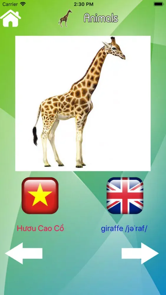 English Vietnamese Vocabulary 스크린샷