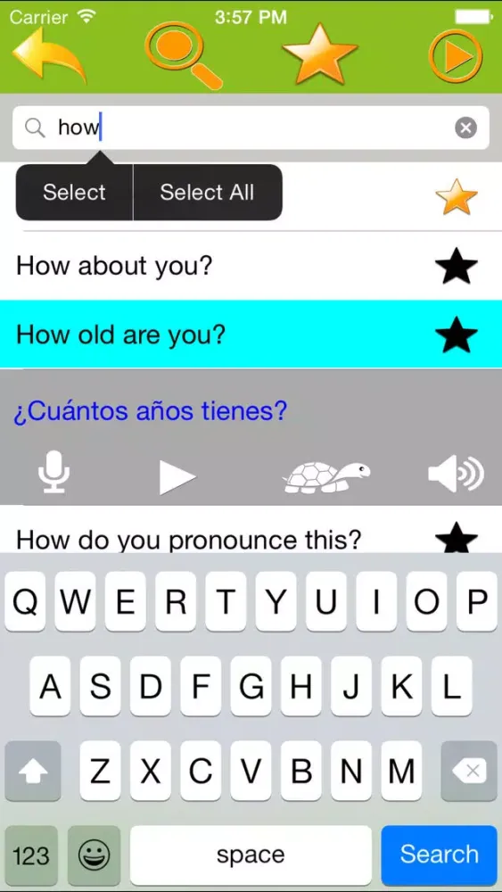 Скриншоты Speak Spanish Everyday Phrases