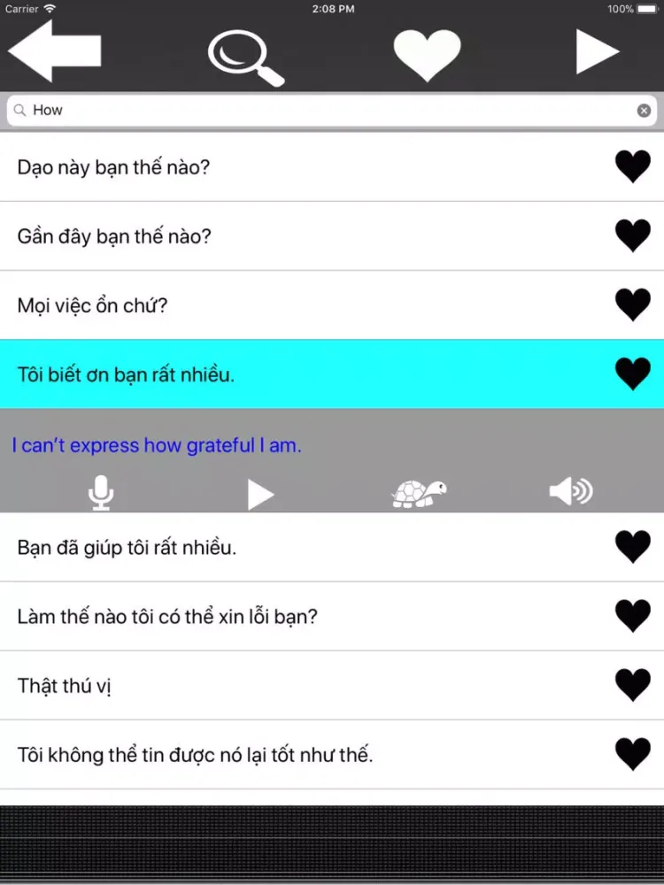 Screenshot di Tiếng Anh Giao Tiếp Hàng Ngày iPad 