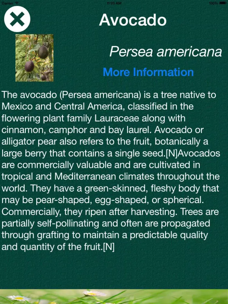 Tangkapan skrin Tree Dictionary - All Information About A - Z Common Species Of Tree iPad 