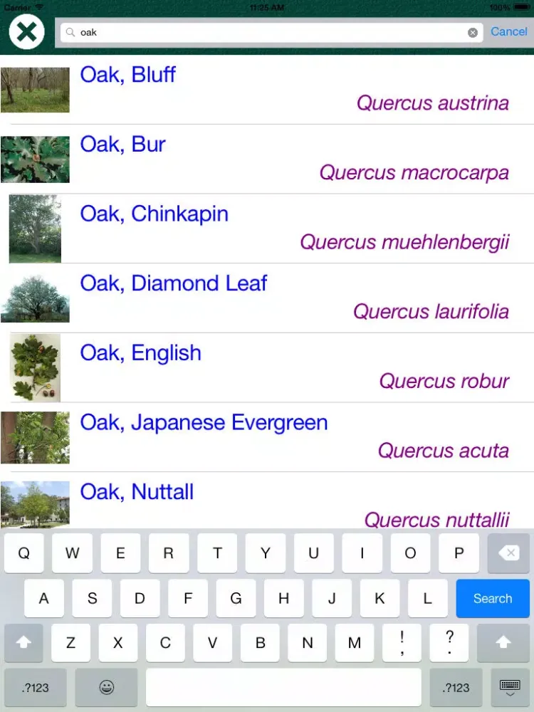 Tangkapan skrin Tree Dictionary - All Information About A - Z Common Species Of Tree iPad 