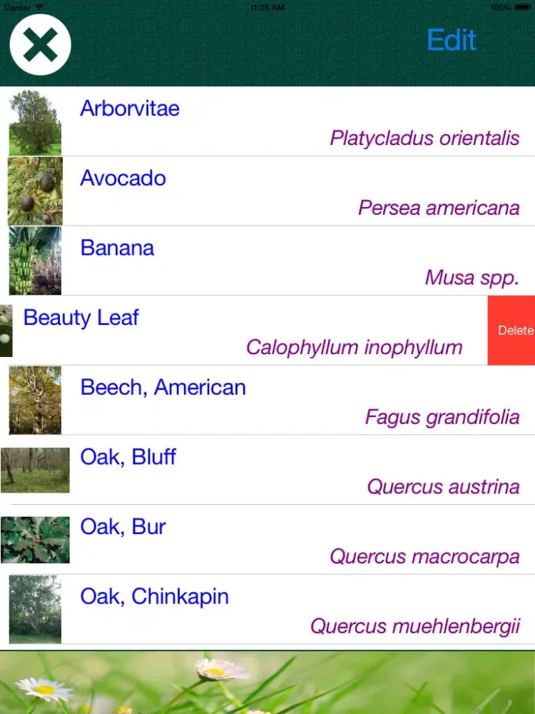 Tangkapan skrin Tree Dictionary - All Information About A - Z Common Species Of Tree iPad 