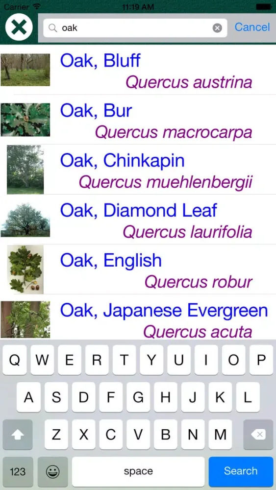Tangkapan skrin Tree Dictionary - All Information About A - Z Common Species Of Tree