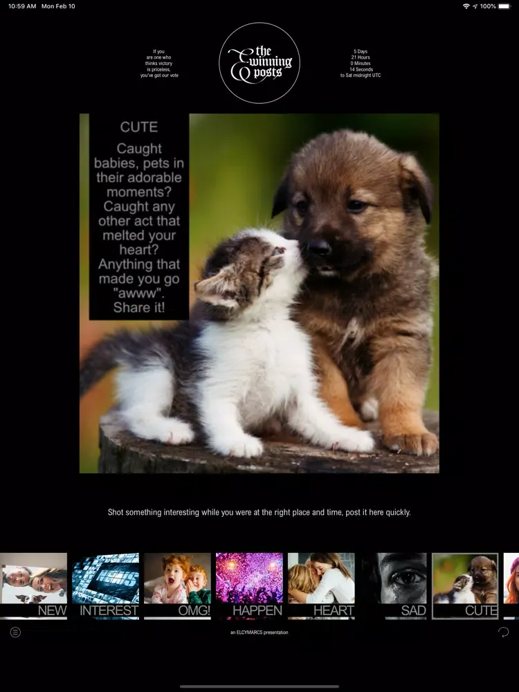 TheE-winningPosts iPad  Ekran Görüntüleri