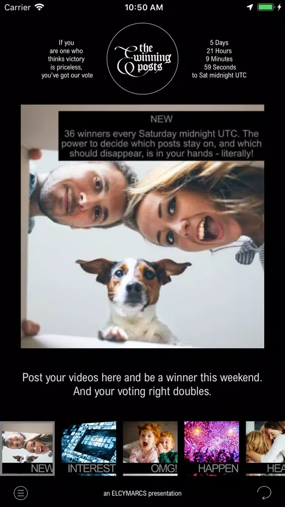 TheE-winningPosts Ekran Görüntüleri