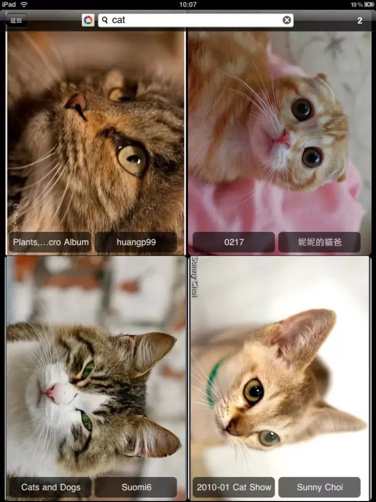 Capturas de tela do PhotoBuzz for iPad - Public Web Album Explorer iPad 
