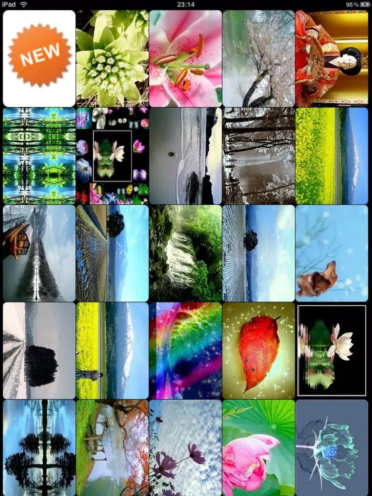 Capturas de tela do PhotoBuzz for iPad - Public Web Album Explorer iPad 
