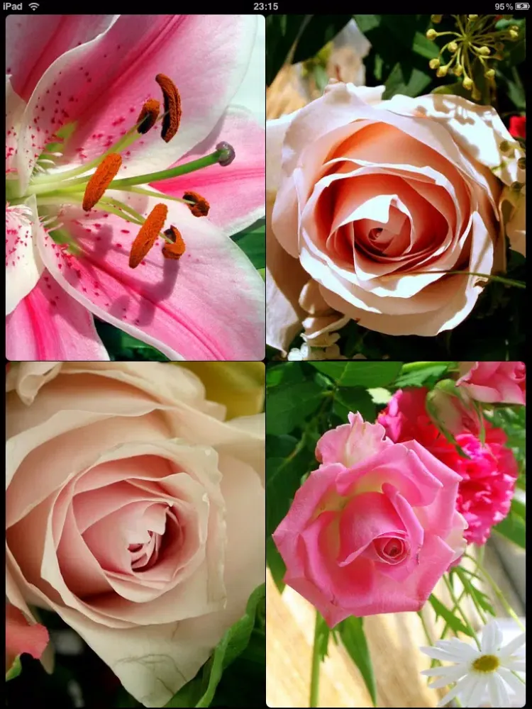 Capturas de tela do PhotoBuzz for iPad - Public Web Album Explorer iPad 