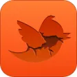 2012 War