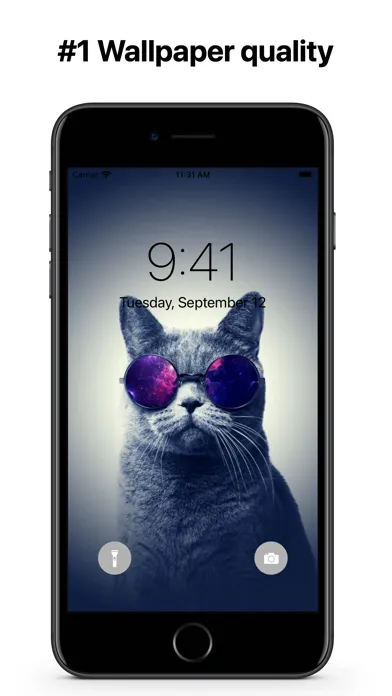 Cats Wallpapers 4K HQ Notch স্ক্রিনশট