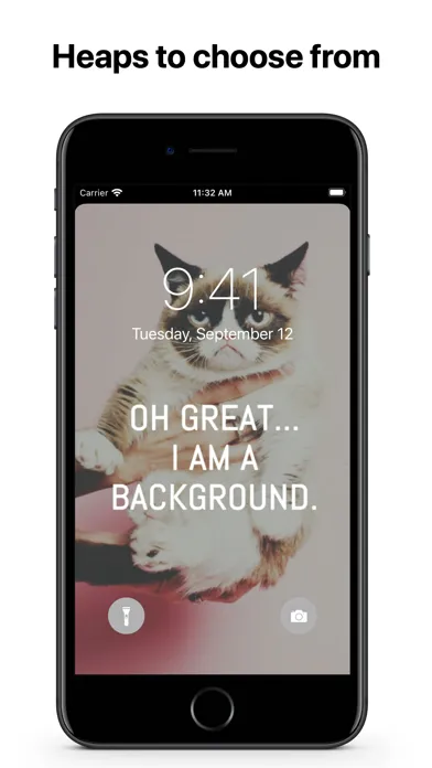 Cats Wallpapers 4K HQ Notch স্ক্রিনশট