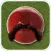 Cricket Booth