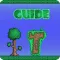 Sheet Guide for Terraria