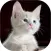 Cat Sounds