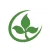 NC Soybeans