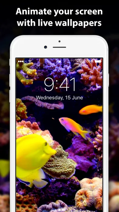 Live Wallpaper ∘ for Me Screenshots