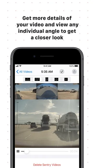 SentiVision for Tesla Vehicles应用截图
